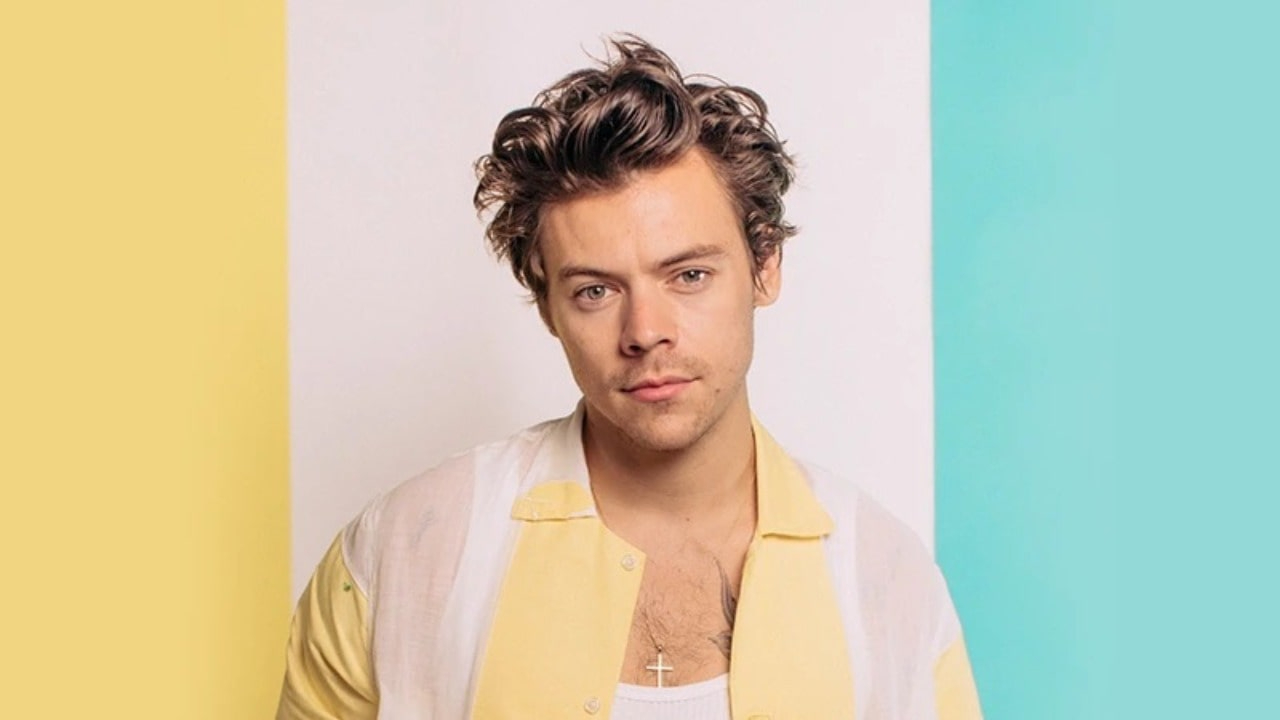 Harry Styles aurait pu être le prince dans le film