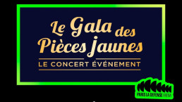 Gala des Pièces Jaunes 2026 : une soirée XXL entre stars internationales et solidarité