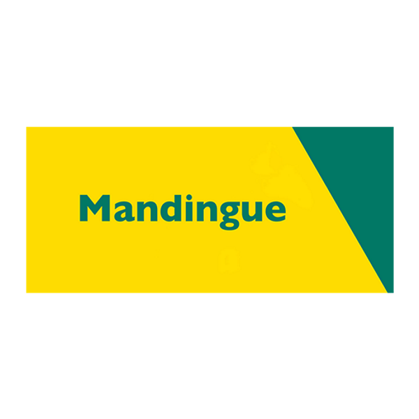 Africa Radio Mandingue