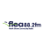 The Flea