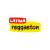Latina Reggeaton